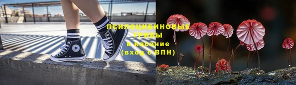 спайс Медвежьегорск