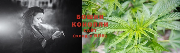 дмт Мегион