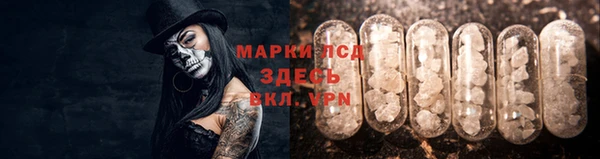 каннабис Майский
