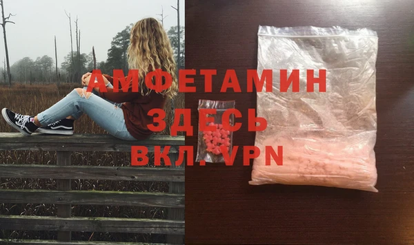 дмт Мегион