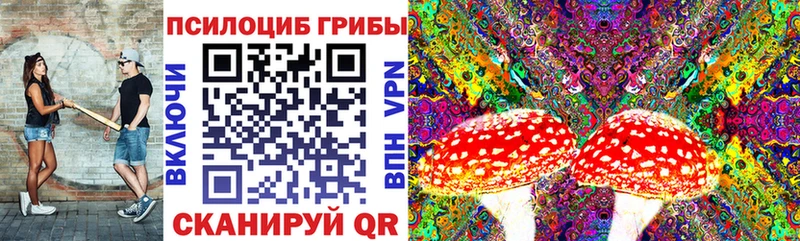 Галлюциногенные грибы мицелий  Курлово 