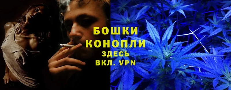 гидра сайт  Курлово  Каннабис SATIVA & INDICA  где найти наркотики 